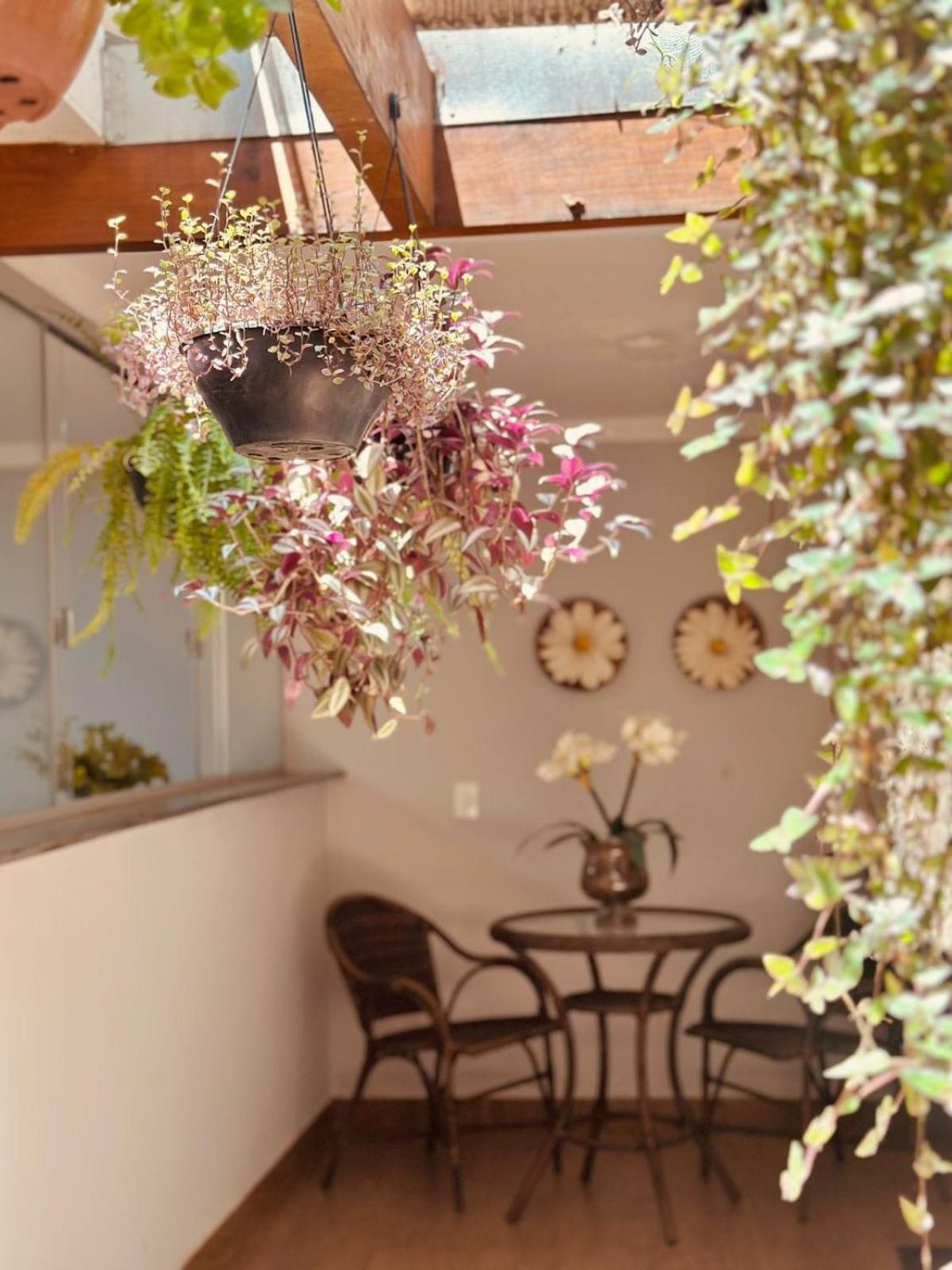 Skalla Hotel נובה אודסה מראה חיצוני תמונה